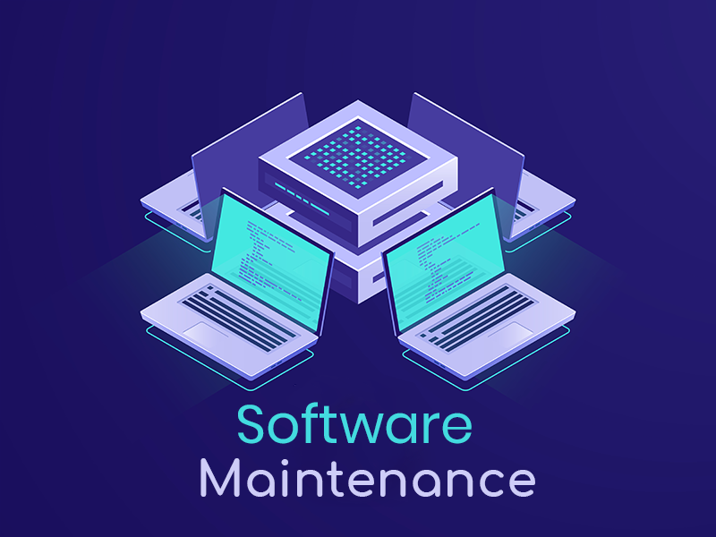 Software Maintenance & Support