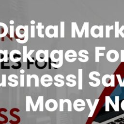 Monthly Digital Marketing Package (For Small Business)